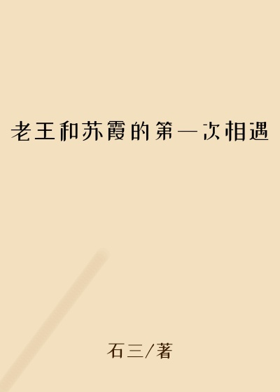 老王和苏霞的第一次相遇